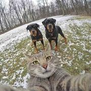 Jacky_Tao的个人资料头像