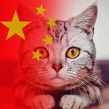 浙江金华义乌车友头像
