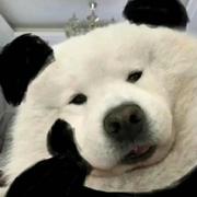 JTT的个人资料头像