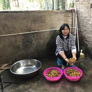 乘风破浪农村宝妈的日常生活头像