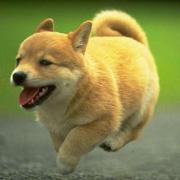 莫途的个人资料头像