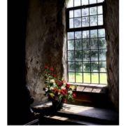 陳趠儿的个人资料头像