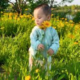 神奇的大瑶头像