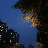 ᴷᴵᴿᴬ头像