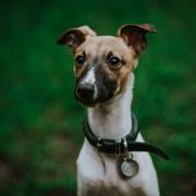 白啊白啊大白的个人资料头像