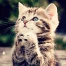 Marvelous酱的个人资料头像