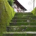 三山芳姐头像
