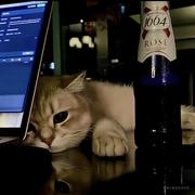 逆光970的个人资料头像