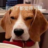 微微不爱飞头像