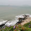 lifangzhong520头像