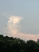 前端付豪的个人资料头像