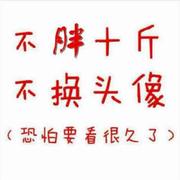 椛茶的个人资料头像