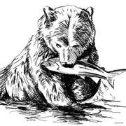 摸鱼小熊的个人资料头像