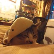 VajraFate的个人资料头像