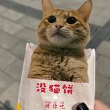 宇果400头像