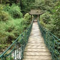 一千年一瞬间头像