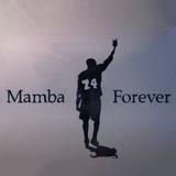 Mamba8445头像