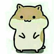 YaOo的个人资料头像