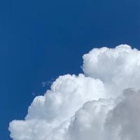 只看不买一就是陪伴头像