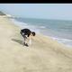 校傲江湖R拳王野钓头像