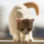 markyong的个人资料头像