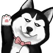 一维252的个人资料头像