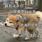 蓝兰的个人资料头像