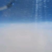 活泼蛋糕WD头像