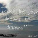 张金莹的个人资料头像