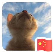 不存在的存在的个人资料头像