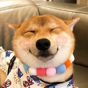 Healer281的个人资料头像