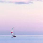 紫檀未灭的个人资料头像