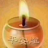 聪颖的朴实喜鹊4V头像