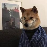 终马的个人资料头像