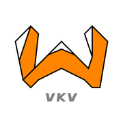 vkv的个人资料头像