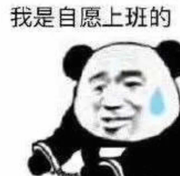 一只喵老师的个人资料头像