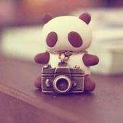 小熊猫0303的个人资料头像