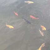 活泼清泉kt头像