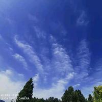 糊涂人生3O9J头像