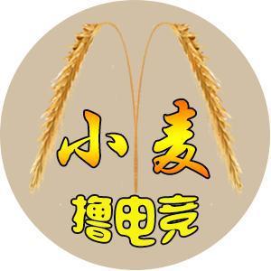小麦撸电竞头像