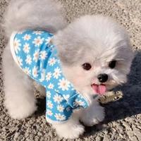 用户6000393597661头像