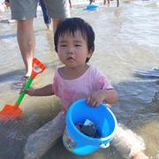 种太阳233的个人资料头像