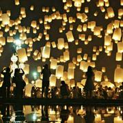 fdr的个人资料头像