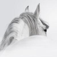 有趣的漂流瓶Q7j4r头像