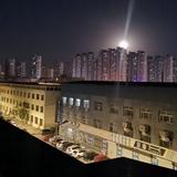 冷锋爱车头像