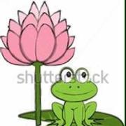 风满楼5的个人资料头像