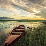 却是风华的个人资料头像