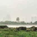 门徒君的个人资料头像