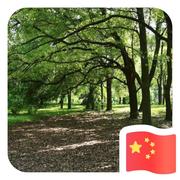 隐仙派的个人资料头像