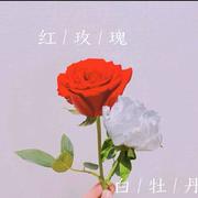 lulu133的个人资料头像